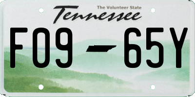 TN license plate F0965Y