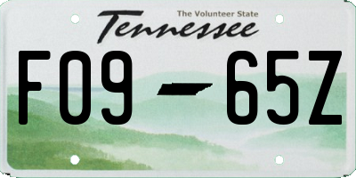 TN license plate F0965Z