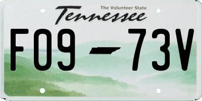 TN license plate F0973V
