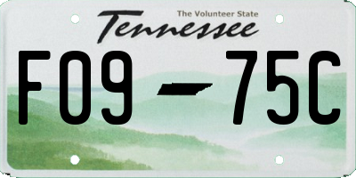 TN license plate F0975C