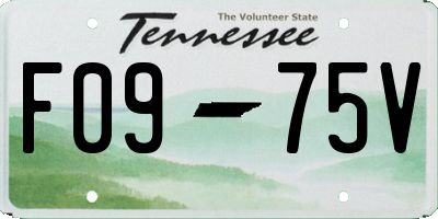 TN license plate F0975V