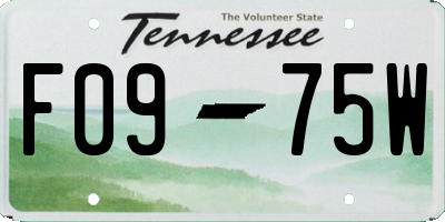 TN license plate F0975W