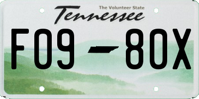 TN license plate F0980X