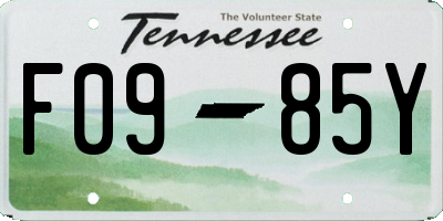 TN license plate F0985Y