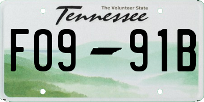 TN license plate F0991B