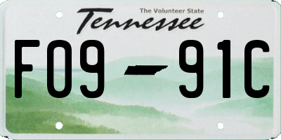TN license plate F0991C