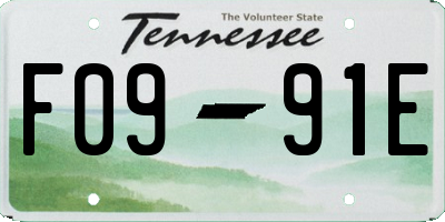 TN license plate F0991E