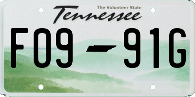 TN license plate F0991G