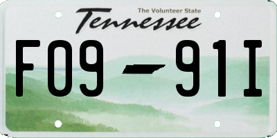 TN license plate F0991I