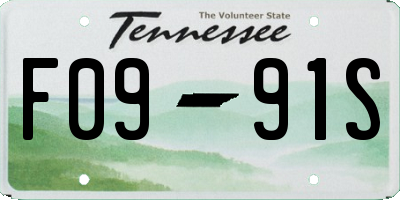 TN license plate F0991S