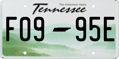 TN license plate F0995E