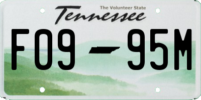 TN license plate F0995M