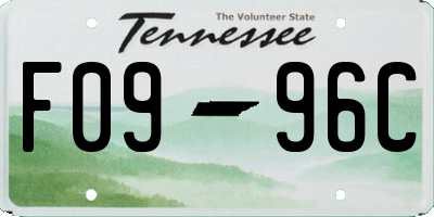 TN license plate F0996C