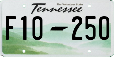 TN license plate F1025O