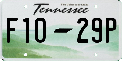 TN license plate F1029P