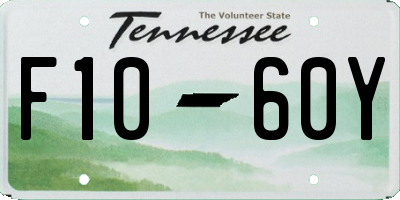 TN license plate F1060Y