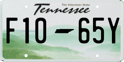TN license plate F1065Y