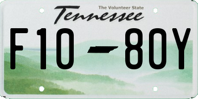 TN license plate F1080Y