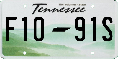 TN license plate F1091S