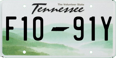 TN license plate F1091Y