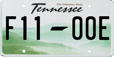 TN license plate F1100E