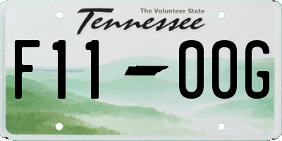 TN license plate F1100G