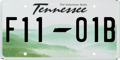TN license plate F1101B