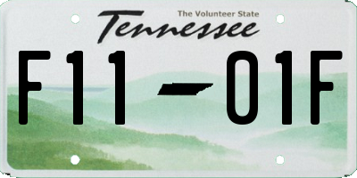 TN license plate F1101F