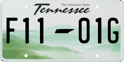 TN license plate F1101G