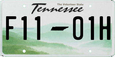 TN license plate F1101H