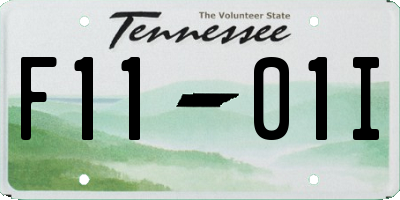 TN license plate F1101I