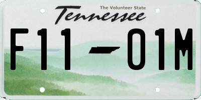 TN license plate F1101M