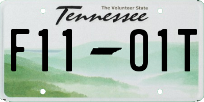 TN license plate F1101T