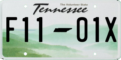 TN license plate F1101X