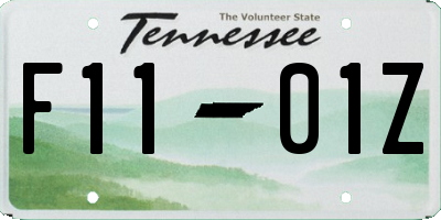 TN license plate F1101Z