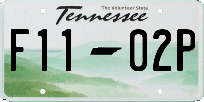 TN license plate F1102P