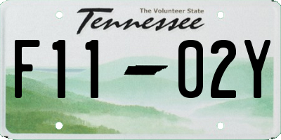 TN license plate F1102Y