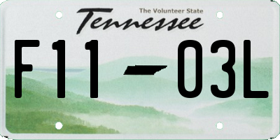 TN license plate F1103L
