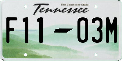 TN license plate F1103M