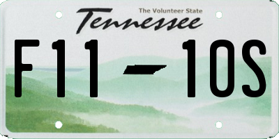 TN license plate F1110S