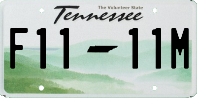 TN license plate F1111M