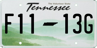 TN license plate F1113G