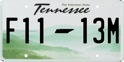 TN license plate F1113M