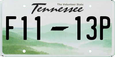 TN license plate F1113P