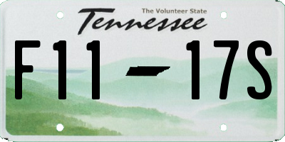 TN license plate F1117S