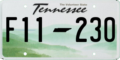 TN license plate F1123O
