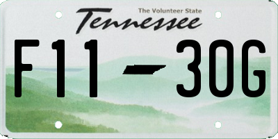 TN license plate F1130G