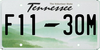 TN license plate F1130M