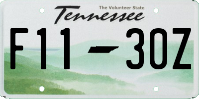 TN license plate F1130Z