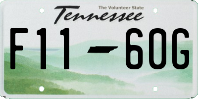 TN license plate F1160G